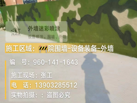 山东 迷彩漆喷涂价格（按平方米计费）